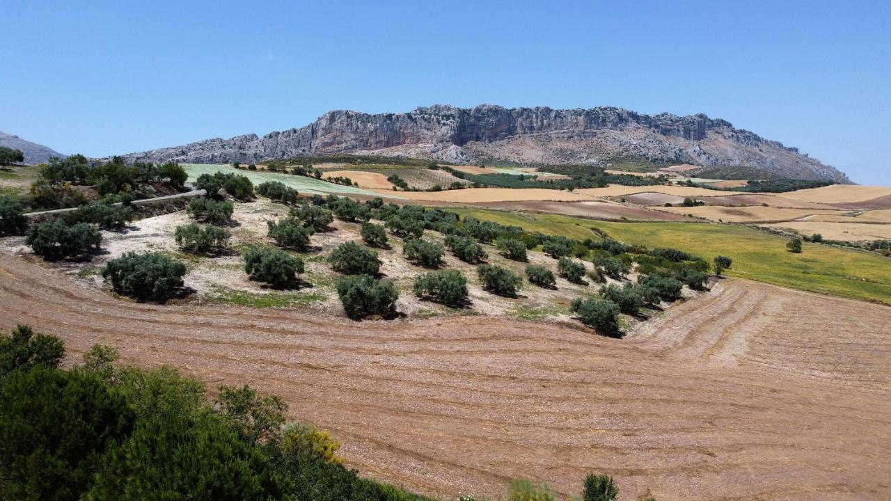 La Posada Del Torcal Villanueva de la Concepción 외부 사진